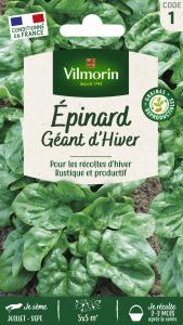 Epinard Géant d'Hiver